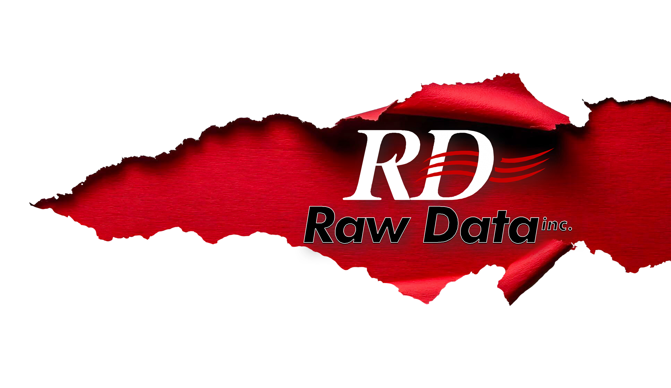 Raw Data, Inc. Logo
